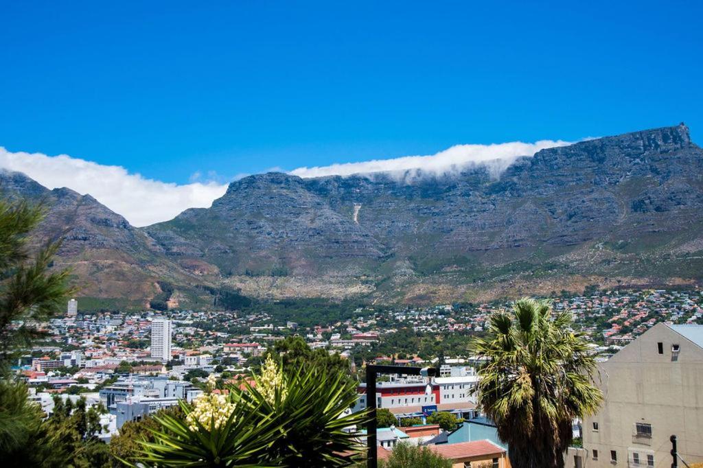 Albergue Table Mountain Cidade Do Cabo